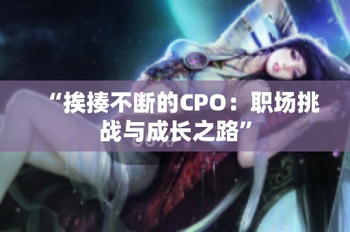 “挨揍不断的CPO：职场挑战与成长之路”