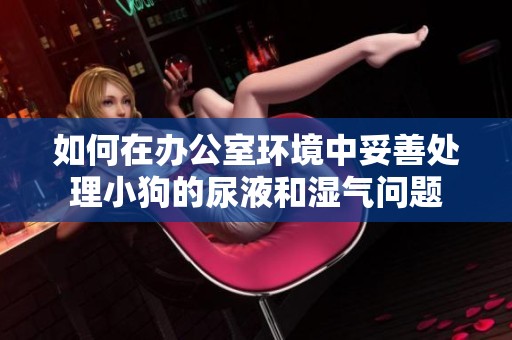 如何在办公室环境中妥善处理小狗的尿液和湿气问题