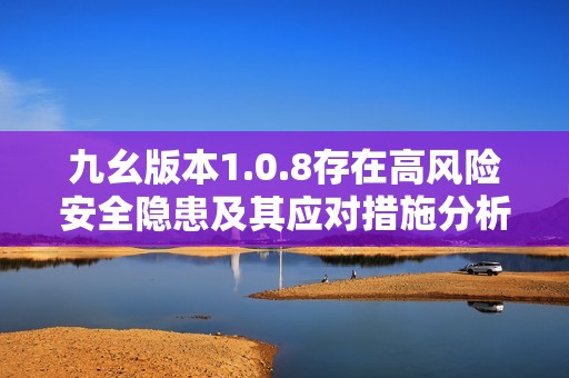 九幺版本1.0.8存在高风险安全隐患及其应对措施分析