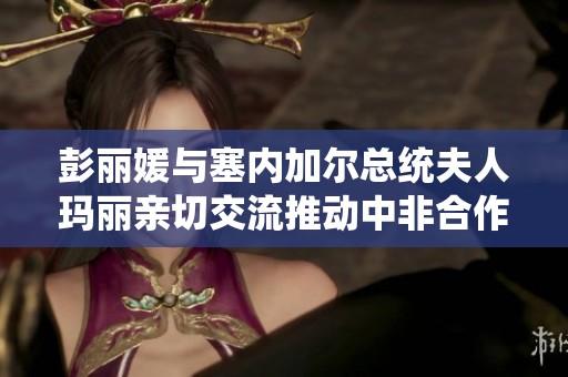 彭丽媛与塞内加尔总统夫人玛丽亲切交流推动中非合作