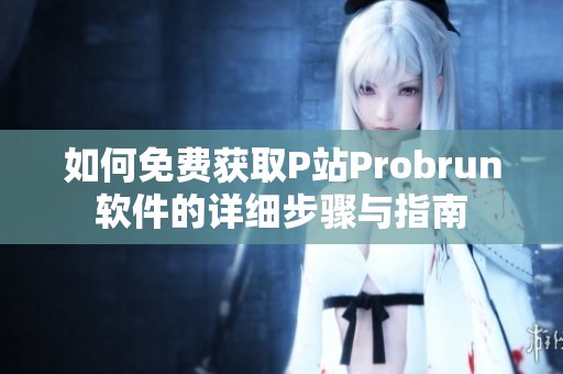 如何免费获取P站Probrun软件的详细步骤与指南