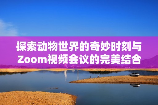 探索动物世界的奇妙时刻与Zoom视频会议的完美结合