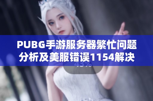 PUBG手游服务器繁忙问题分析及美服错误1154解决方案探讨