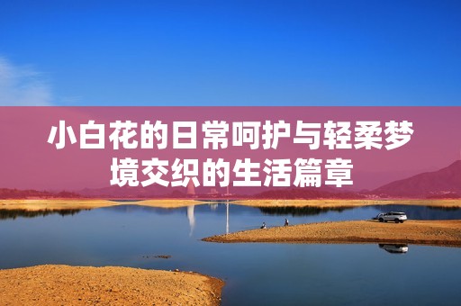小白花的日常呵护与轻柔梦境交织的生活篇章