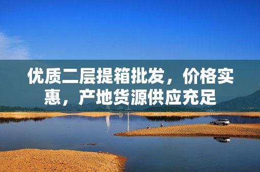 优质二层提箱批发，价格实惠，产地货源供应充足