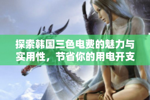 探索韩国三色电费的魅力与实用性，节省你的用电开支