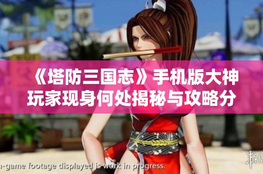 《塔防三国志》手机版大神玩家现身何处揭秘与攻略分享