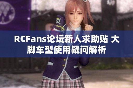 RCFans论坛新人求助贴 大脚车型使用疑问解析