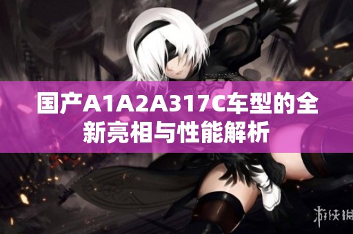 国产A1A2A317C车型的全新亮相与性能解析