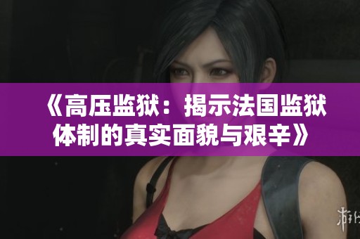 《高压监狱：揭示法国监狱体制的真实面貌与艰辛》