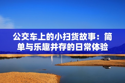公交车上的小扫货故事：简单与乐趣并存的日常体验