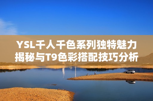 YSL千人千色系列独特魅力揭秘与T9色彩搭配技巧分析