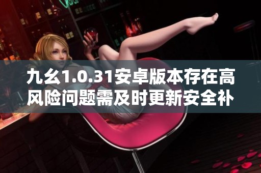 九幺1.0.31安卓版本存在高风险问题需及时更新安全补丁