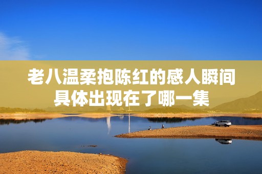 老八温柔抱陈红的感人瞬间具体出现在了哪一集