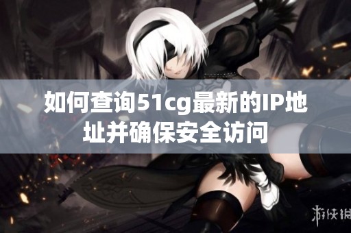 如何查询51cg最新的IP地址并确保安全访问
