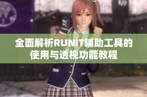 全面解析RUNIT辅助工具的使用与透视功能教程