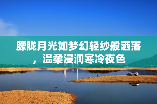 朦胧月光如梦幻轻纱般洒落，温柔浸润寒冷夜色
