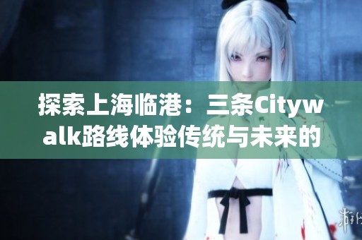 探索上海临港：三条Citywalk路线体验传统与未来的交融之旅