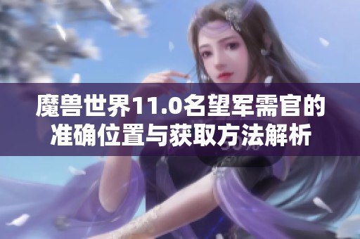 魔兽世界11.0名望军需官的准确位置与获取方法解析