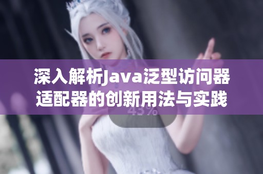 深入解析Java泛型访问器适配器的创新用法与实践