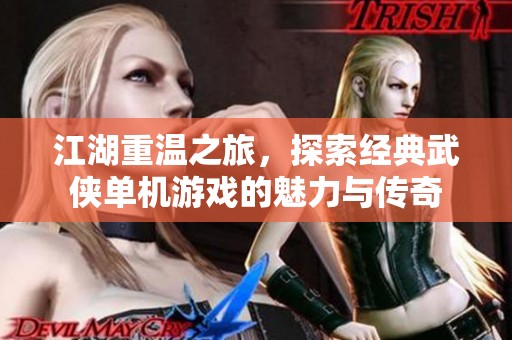 江湖重温之旅，探索经典武侠单机游戏的魅力与传奇