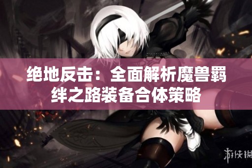 绝地反击：全面解析魔兽羁绊之路装备合体策略