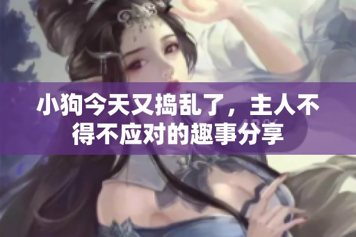 小狗今天又捣乱了，主人不得不应对的趣事分享