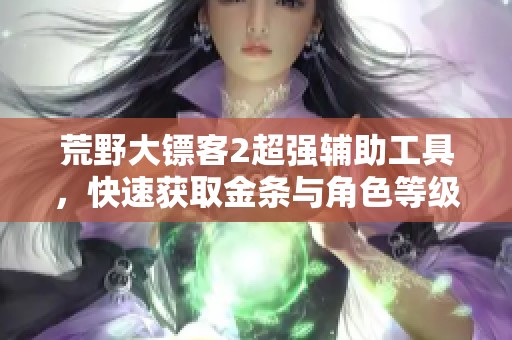 荒野大镖客2超强辅助工具，快速获取金条与角色等级