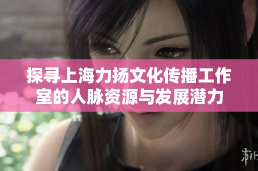 探寻上海力扬文化传播工作室的人脉资源与发展潜力