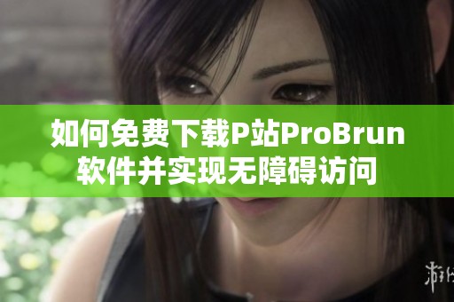如何免费下载P站ProBrun软件并实现无障碍访问