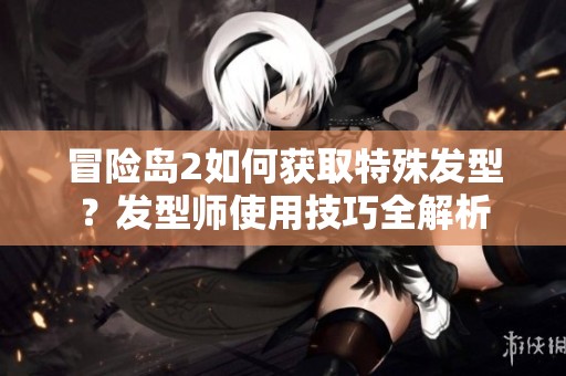 冒险岛2如何获取特殊发型？发型师使用技巧全解析