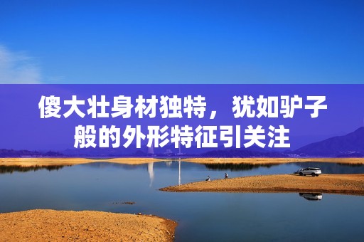 傻大壮身材独特，犹如驴子般的外形特征引关注