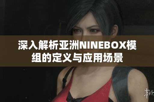 深入解析亚洲NINEBOX模组的定义与应用场景
