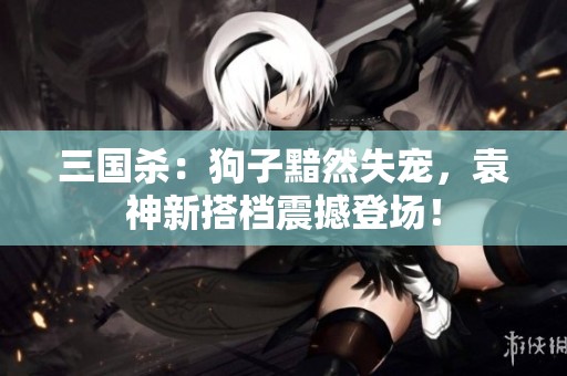 三国杀：狗子黯然失宠，袁神新搭档震撼登场！