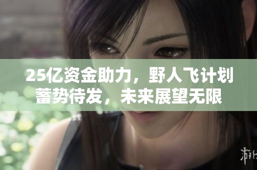 25亿资金助力，野人飞计划蓄势待发，未来展望无限
