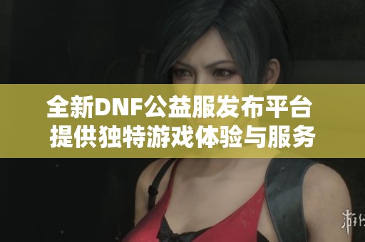 全新DNF公益服发布平台 提供独特游戏体验与服务