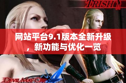 网站平台9.1版本全新升级，新功能与优化一览