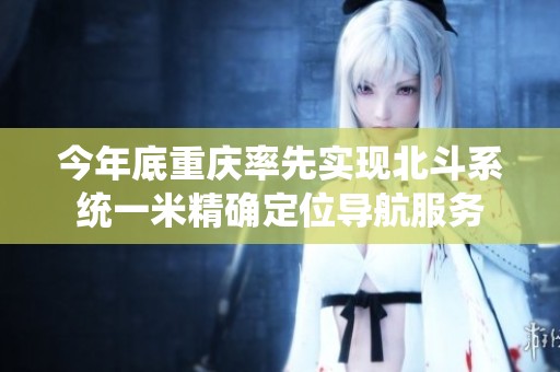 今年底重庆率先实现北斗系统一米精确定位导航服务