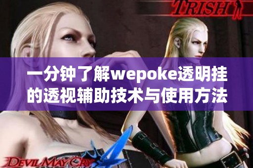 一分钟了解wepoke透明挂的透视辅助技术与使用方法