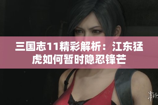 三国志11精彩解析：江东猛虎如何暂时隐忍锋芒