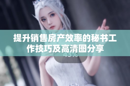提升销售房产效率的秘书工作技巧及高清图分享