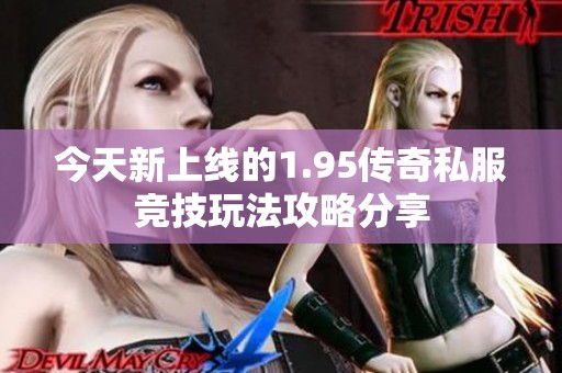 今天新上线的1.95传奇私服竞技玩法攻略分享
