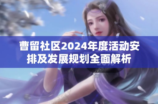 曹留社区2024年度活动安排及发展规划全面解析