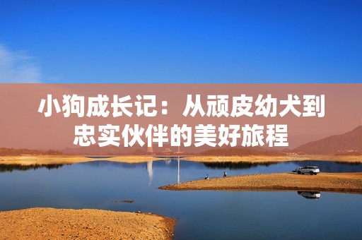 小狗成长记：从顽皮幼犬到忠实伙伴的美好旅程
