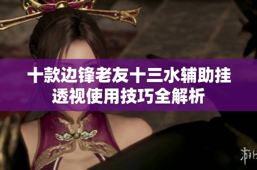 十款边锋老友十三水辅助挂透视使用技巧全解析