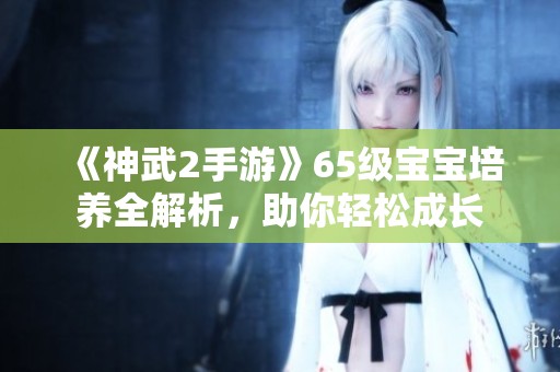 《神武2手游》65级宝宝培养全解析，助你轻松成长