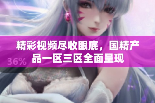 精彩视频尽收眼底，国精产品一区三区全面呈现