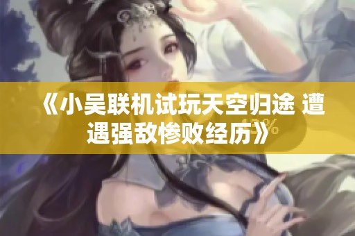 《小吴联机试玩天空归途 遭遇强敌惨败经历》