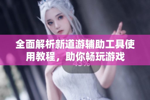 全面解析新道游辅助工具使用教程，助你畅玩游戏