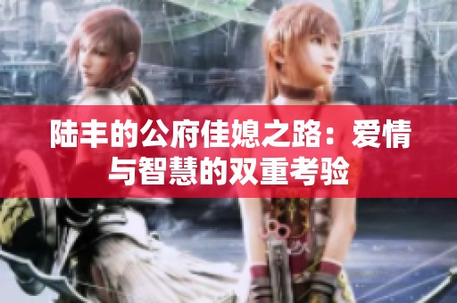 陆丰的公府佳媳之路：爱情与智慧的双重考验